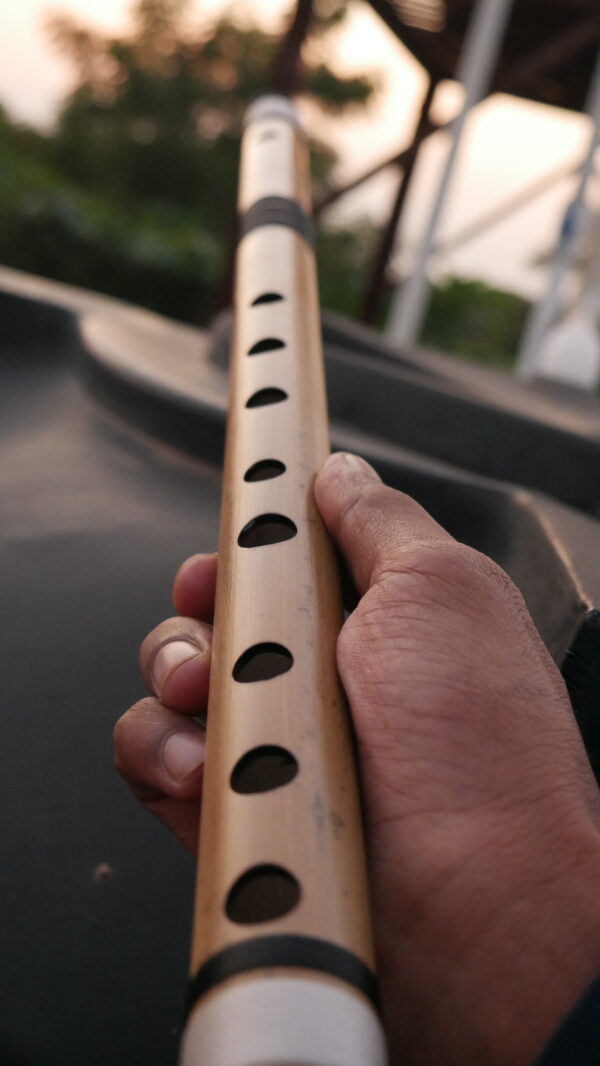 Carnatic C# Flute (Shruti 1.5)